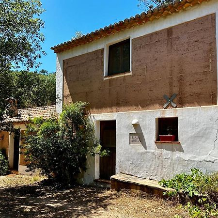 Casas Da Cerca Guest House Troviscais Exterior foto